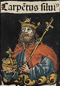 Capetus