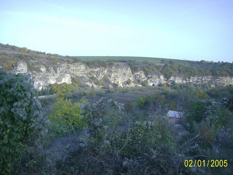 Basarbovo