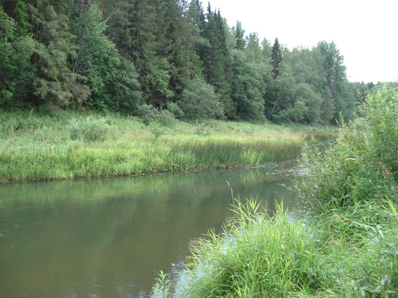 Lyubimsky District