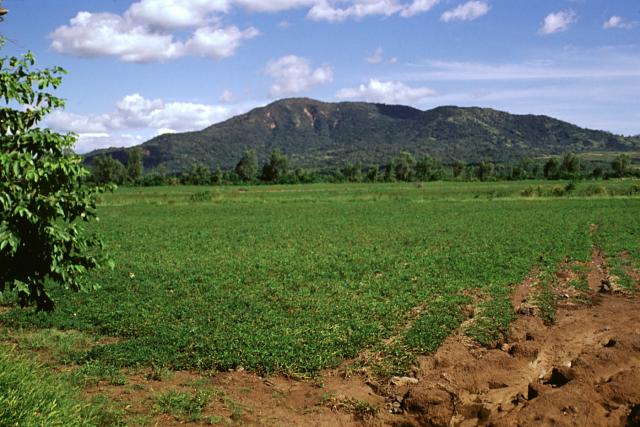 Cerro Rota