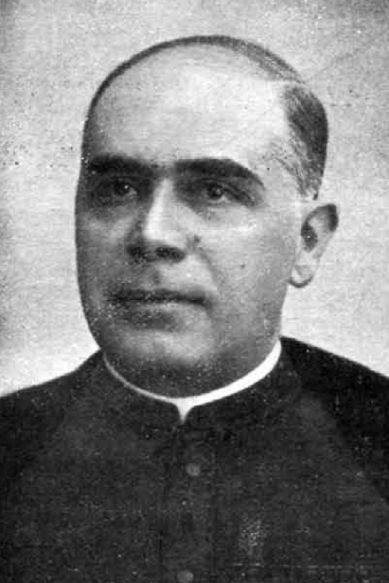 Miguel Asín Palacios