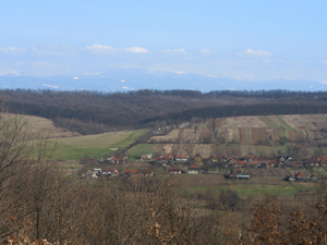 Copăcele