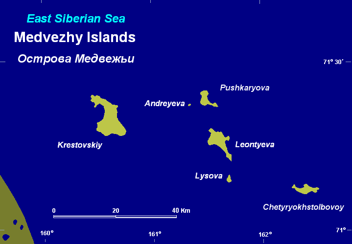 Medvezhy Islands