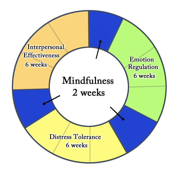 dialectical behavior therapy