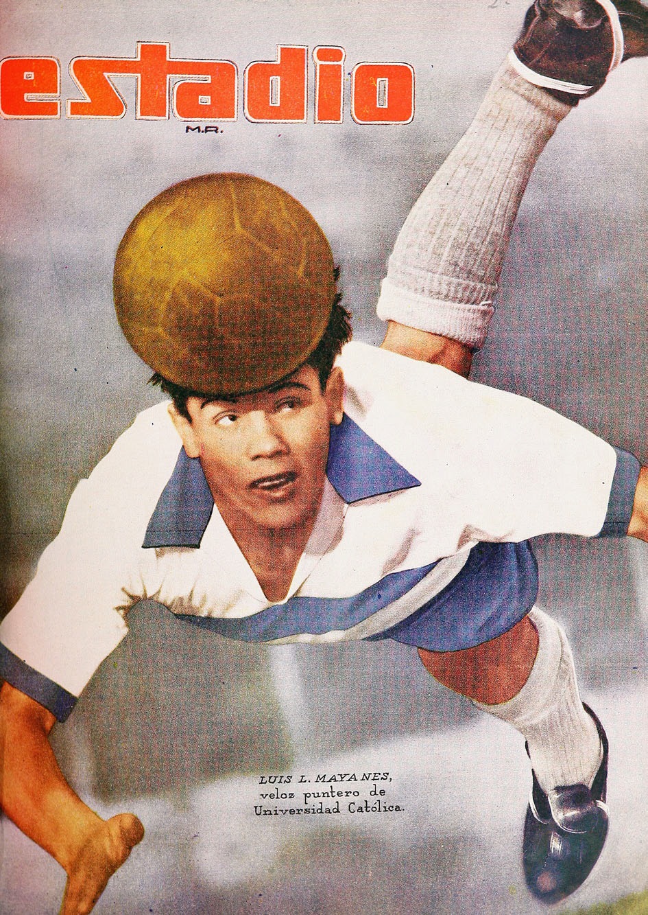 Luis Mayanés