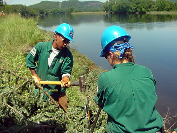 ecological engineering