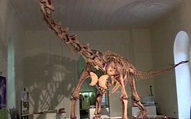 Maxakalisaurus