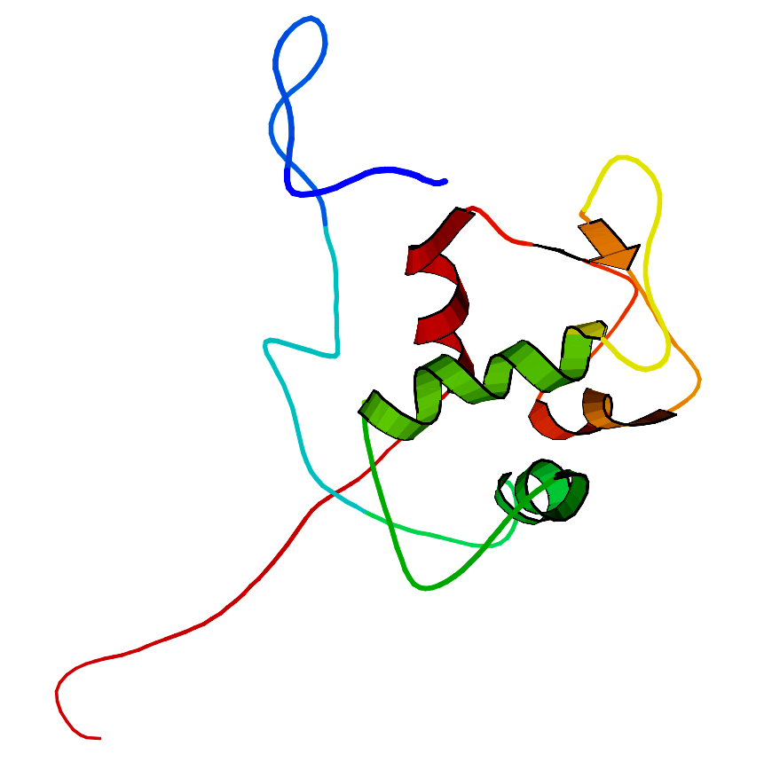 MDM2