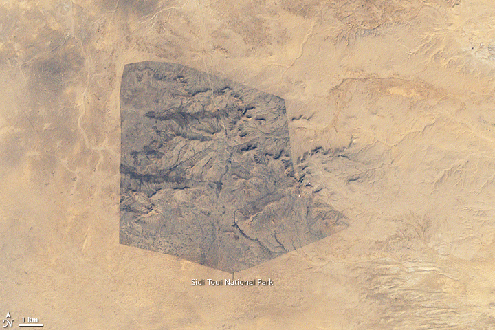 Sidi Toui National Park