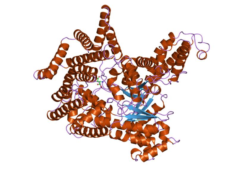 phosphoenolpyruvate carboxylase
