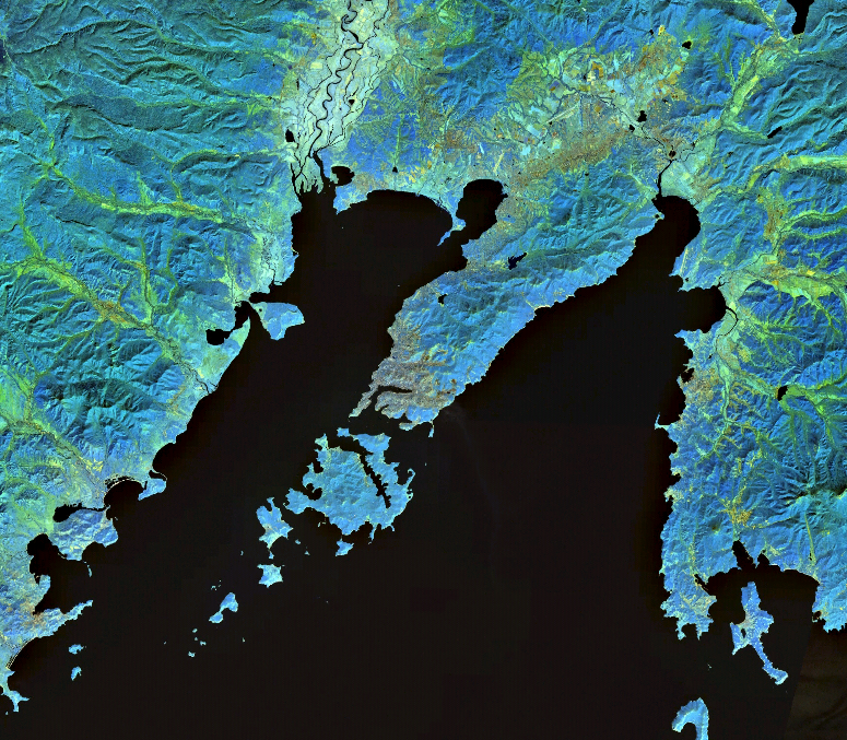 Amur Bay
