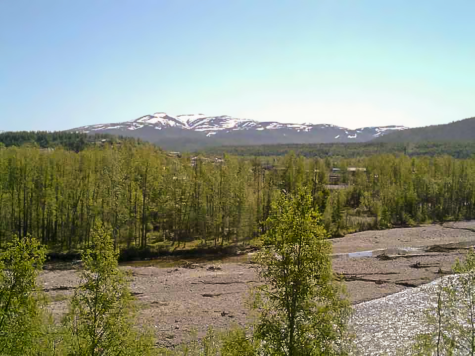 Khasynsky District