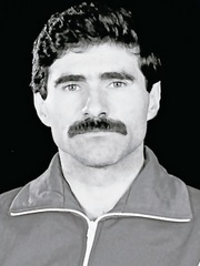 Vasile Dorel Năstase