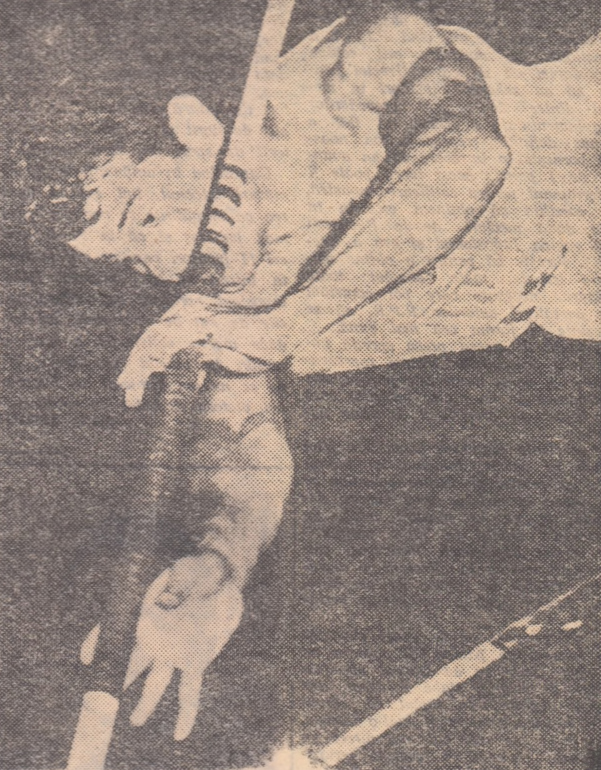 Georgios Roubanis