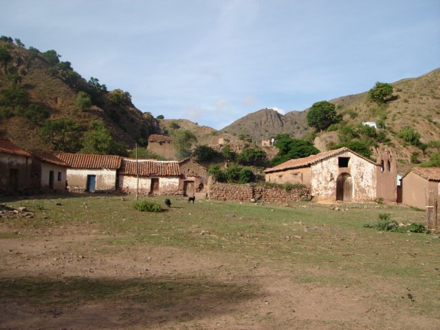 Ravelo