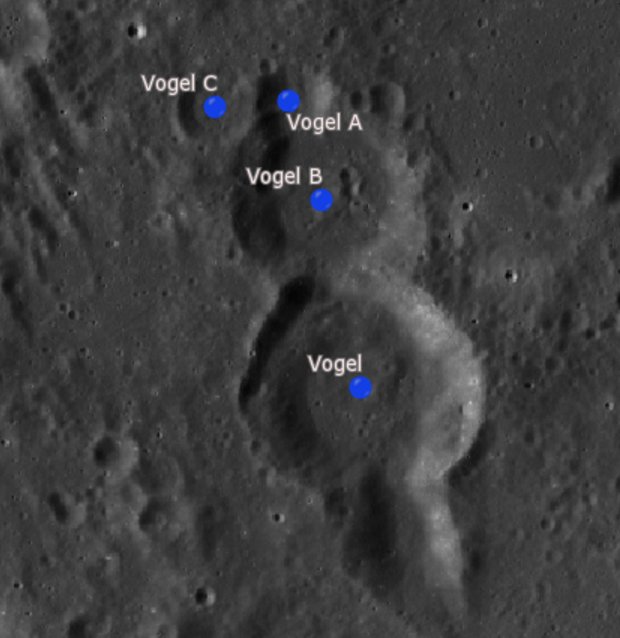 Vogel