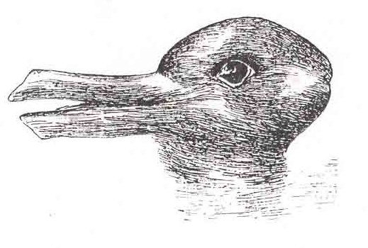 ambiguous image