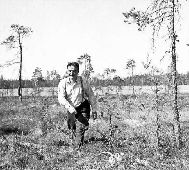 Pentti Haanpää
