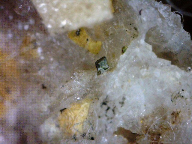 vaesite