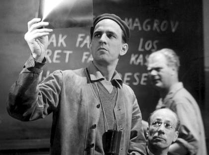 Wild Strawberries