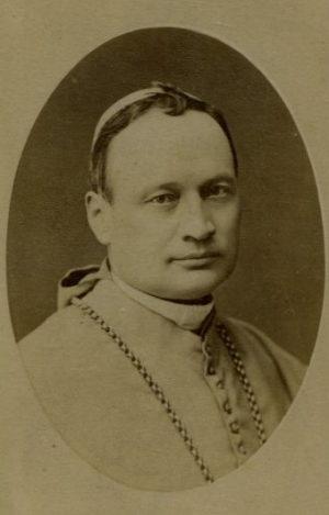 Luigi Rotelli