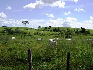 Nova Olinda do Maranhão