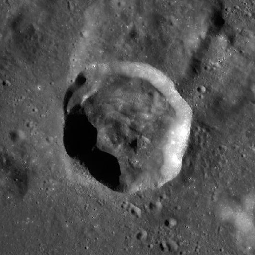 Delmotte