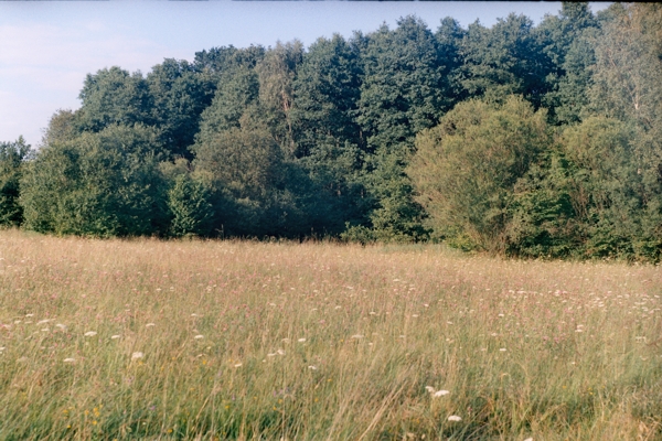 Cieszeniewo