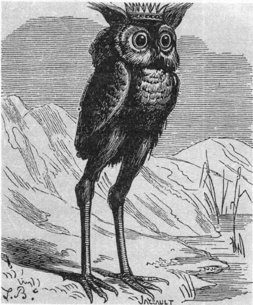 Stolas