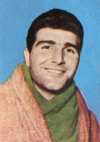 Giulio Saraudi