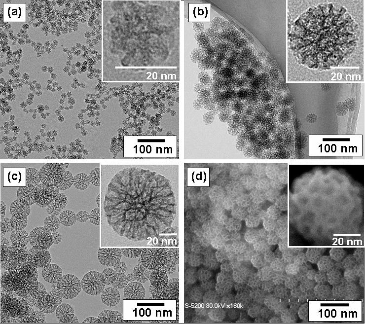 nanoparticle