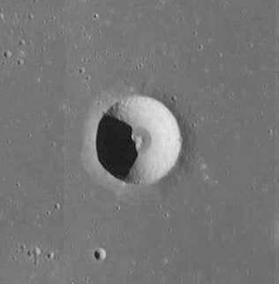 Carlini