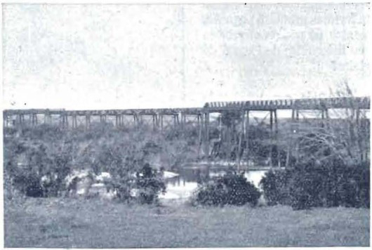 San José River