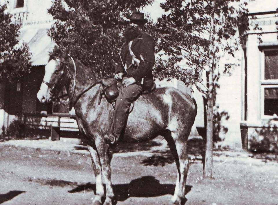 Boer pony