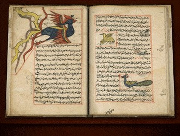 Anqa