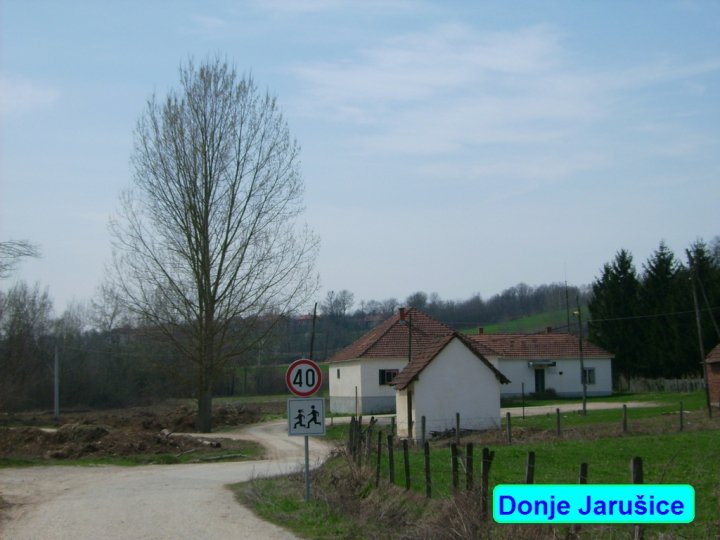 Donje Jarušice