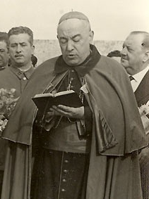 José Bueno y Monreal