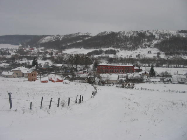 Lopushnia