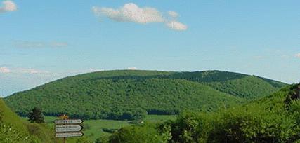 Mont Beuvray