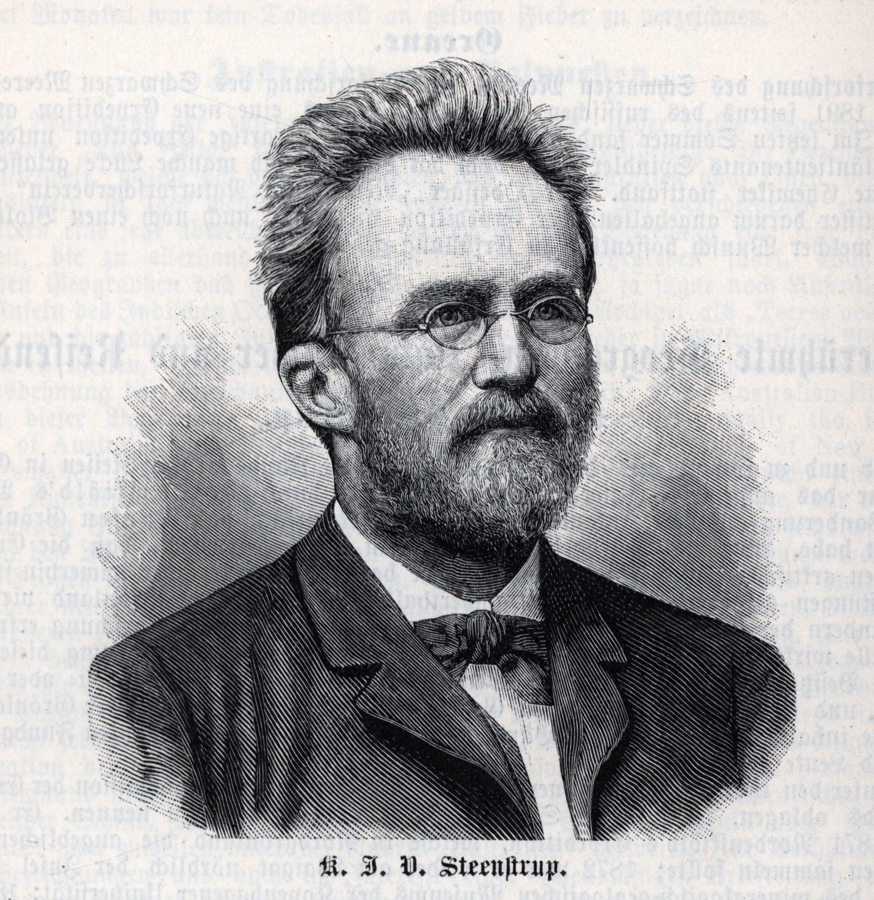 Knud J. V. Steenstrup