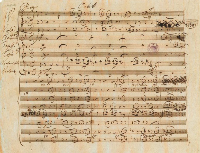Octet