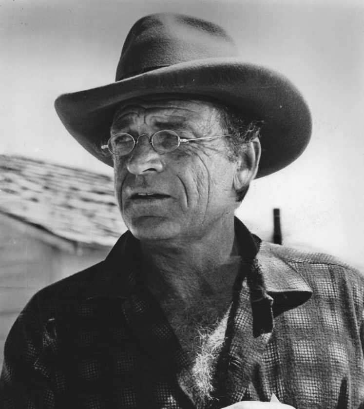 David McLean