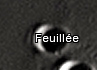 Feuillée