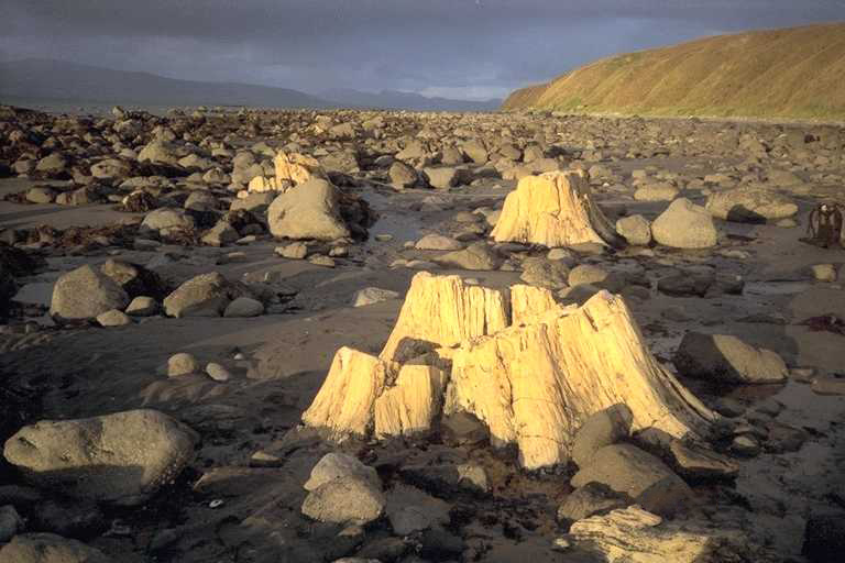 Unga Island