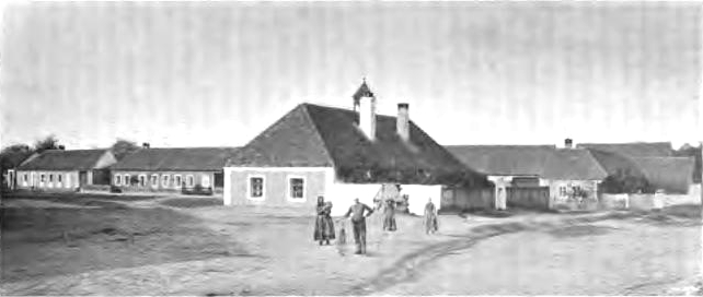 Borotice