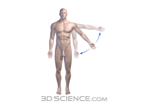 adduction