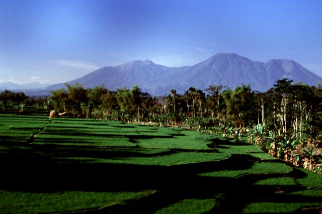 Mount Kawi