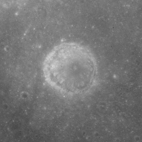 Theophrastus
