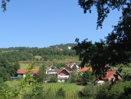 Belo Polje