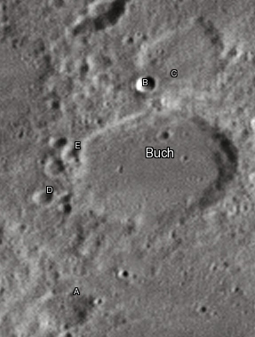 Buch